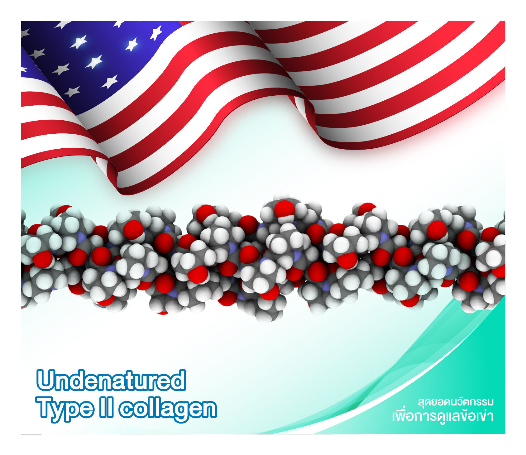 สารตั้งต้นนำเข้าจาก U.S.A Undenatured Collagen Type II (UC-II) เรียกสั้นๆ ว่า “ยูซีทู” คือคอลลาเจนชนิดที่ 2 ที่ผลิตด้วยอุณหภูมิต่ำและไม่ใช้เอนไซม์ในการผลิต จึงทำให้ได้โครงสร้างแบบ Undenatured 